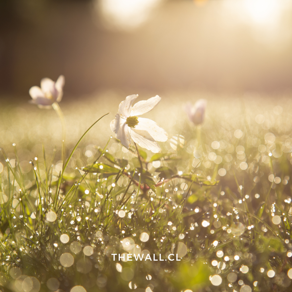La primavera es el momento ideal para construir con Paneles SIP
